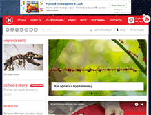 Tablet Screenshot of naukatv.ru